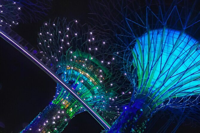 Gardens by the Bay Singapore combo - Who Would Love This Tour?