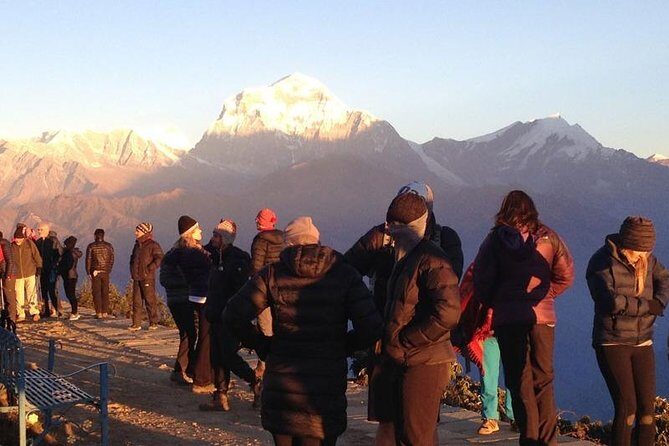 Ghorepani Poon Hill Trek - A Deep Dive into the Ghorepani Poon Hill Trek Experience