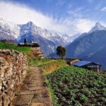Ghorepani Poonhill Trek 5 Days from Pokhara - A Detailed Look at the Trekking Itinerary