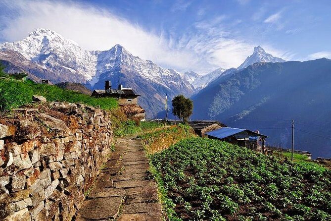 Ghorepani Poonhill Trek 5 Days from Pokhara - A Detailed Look at the Trekking Itinerary