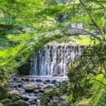 Gifu: Yoro Unforgettable Walkable Artwork - Exploring Yoro Unforgettable Walkable Artwork