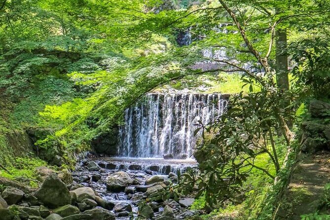 Gifu: Yoro Unforgettable Walkable Artwork - Exploring Yoro Unforgettable Walkable Artwork