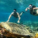 Gili Air : Private Snorkeling with 4 spots - Why This Tour Stands Out