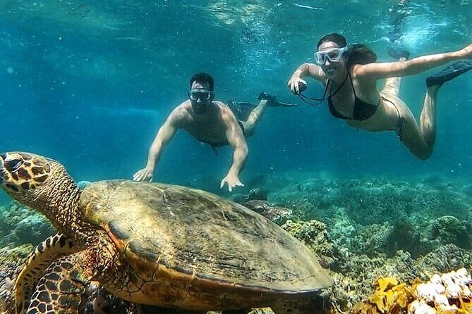 Gili Air : Private Snorkeling with 4 spots - Why This Tour Stands Out
