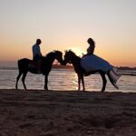 Gili Meno Horse Riding Adventure on the Beach for 1 Hour - The Experience in Detail