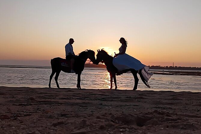 Gili Meno Horse Riding Adventure on the Beach for 1 Hour - The Experience in Detail