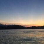 Glow-in-the-Dark Mangrove Adventure  Night Safari Plus Dinner - The Experience in Detail