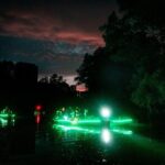Glow Kayak Night Adventure in the Mangroves - Who Is This Tour Best For?