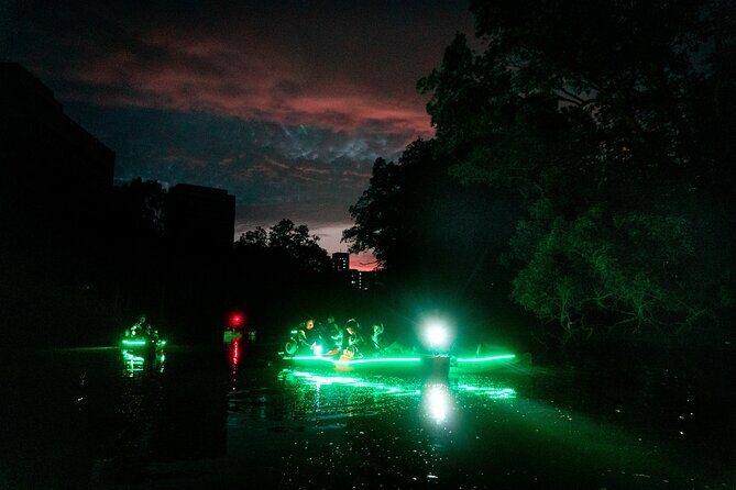 Glow Kayak Night Adventure in the Mangroves - Who Is This Tour Best For?