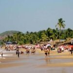 Goa in Full Flavor: Forts, Feni & Waves with breakfast - Key Points
