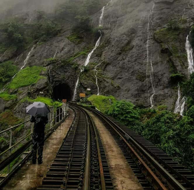 Goa: SIC Dudhsagar Waterfall and Spice Plantation Day Tour - A Practical, Honest Look at the Tour Experience
