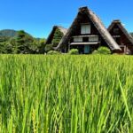 Gokayama and Shirakawago (UNESCO Heritage) Small Group(Max 9) - A Deep Dive into the Experience