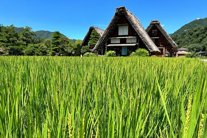 Gokayama and Shirakawago (UNESCO Heritage) Small Group(Max 9) - A Deep Dive into the Experience