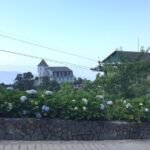 Golden Hand Bridge Afternoon and Evening Tour - Why This Tour Is a Great Choice