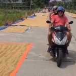 Golden Hand Bridge - Ba Na Hills ( Early Morning to Avoid Crowds) - Transport, Price, and Value