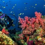 Grand Island Adventure: Diving and Water Sports Thrills - FAQ