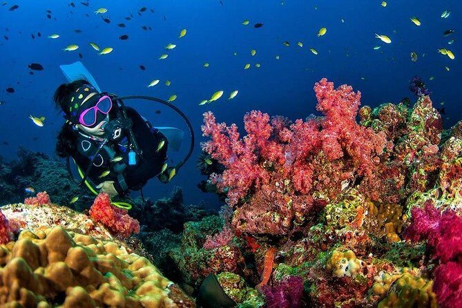Grand Island Adventure: Diving and Water Sports Thrills - FAQ