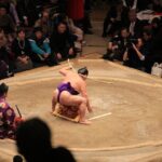 Grand Sumo Tournament Tour w/an English Guide ,Tokyo January 2026 - The Sum Up