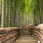 Group Shore Excursion Kyoto Highlights from Osaka or Kobe Port - Final Thoughts: Is It Worth It?