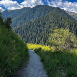 Group Tour: Big Almaty Gorge (Ayusai, Almarasan, Park) - Whats the Real Value?