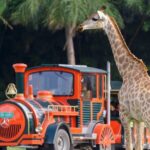 Guangzhou Chimelong Safari Park - Final Thoughts