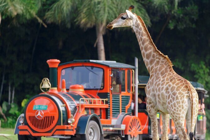 Guangzhou Chimelong Safari Park - Final Thoughts