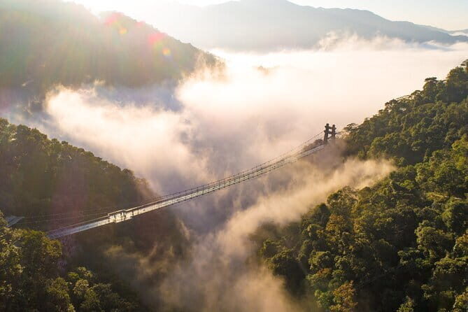 Guangzhou Full Day Tour to Gulong Gorge Glass Skywalk Bridge - What Makes This Tour Special?