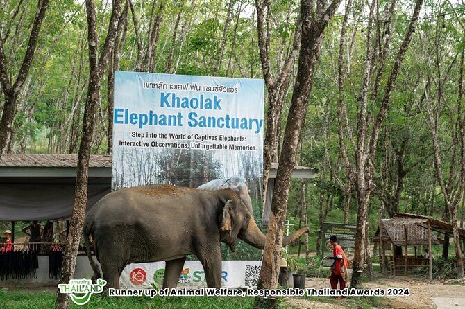Guide Tour to Khaolak Elephant Sanctuary in Small Group - Who Should Consider This Tour?