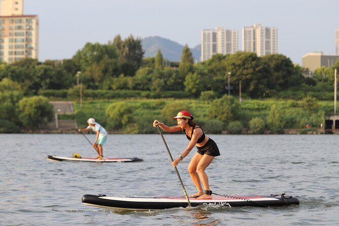 Guided Han River Paddling  Urban Nature Escape - Who Will Benefit Most from This Tour?