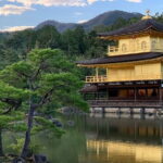 Guided Kyoto City Cherry Blossom One Day Private Tour - A Detailed Breakdown of the Itinerary