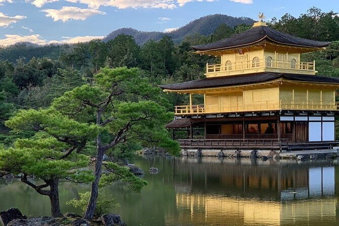 Guided Kyoto City Cherry Blossom One Day Private Tour - A Detailed Breakdown of the Itinerary