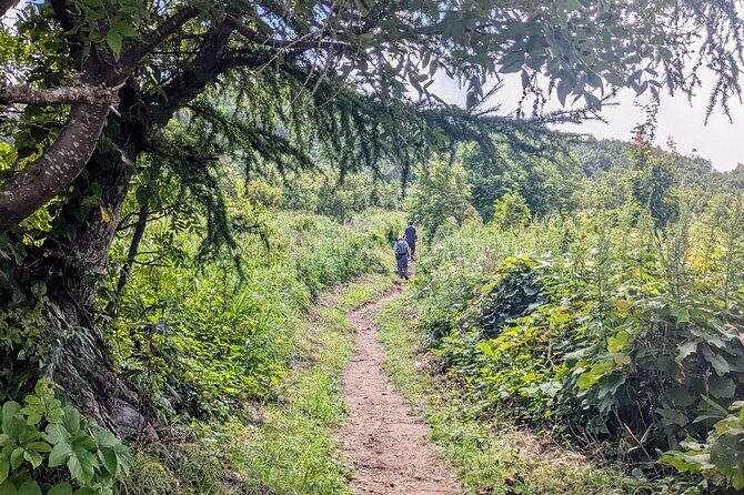 Guided Shioya Maruyama Hike with Scenic Views and Snacks - Who Will Appreciate This Hike?