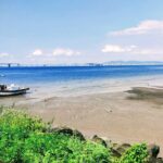 Guided Tour of Elephanta Caves in Mumbai - Who Will Love This Tour?