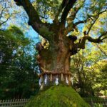 Guided Tour of Historic Atsuta Shrine and Sword Museum - FAQ