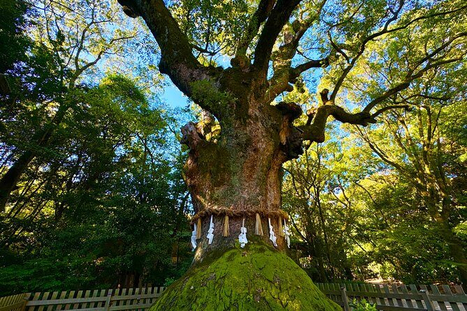 Guided Tour of Historic Atsuta Shrine and Sword Museum - FAQ