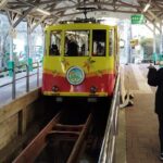 Guided Trip to Mount Takao Train Journey from Shinjuku - Practical Insights and Tips