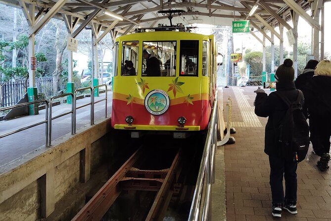 Guided Trip to Mount Takao Train Journey from Shinjuku - Practical Insights and Tips