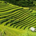 Guilin Longji Terraces Private Day Tour - Final Thoughts