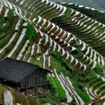 Guilin Reed Flute Cave and Longji Rice Terraces Private Day Tour - Transport and Logistics
