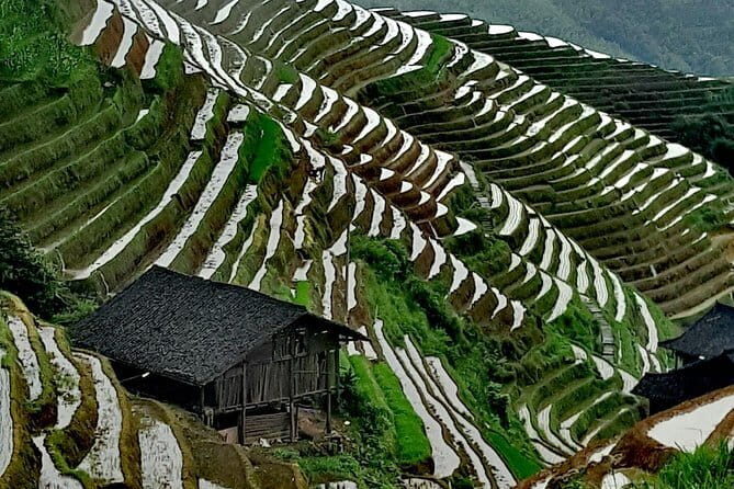 Guilin Reed Flute Cave and Longji Rice Terraces Private Day Tour - Transport and Logistics