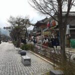 Gwangyang Maewha Flower and Jeonju Hanok Village 1 day trip from Seoul - The Sum Up