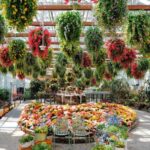 Gyeonggi: Gaypeong Begonia Bird Park Entry Ticket - Final Thoughts