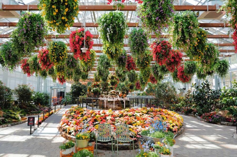 Gyeonggi: Gaypeong Begonia Bird Park Entry Ticket - Final Thoughts