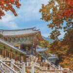 Gyeongju One-Day Tour from Daegu - Practical Details and What to Expect