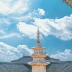 Gyeongju One-Day Tour from Daegu(Drop-off Busan) - Final Thoughts