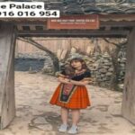 Ha Giang Loop Car 3 Days 2 Nights by OHC Travel - Who Will Love This Tour?