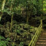 Ha Noi: Full-day Cuc Phuong National Park Eco-adventure - Why This Tour Works: Value and Authenticity