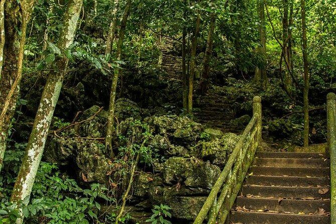 Ha Noi: Full-day Cuc Phuong National Park Eco-adventure - Why This Tour Works: Value and Authenticity