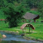 Hainan: A private day trip to Wuzhishan - What Travelers Say