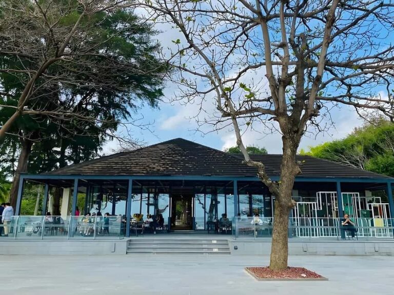 Hainan: Shimei Bay and Fenghuang Jiuli Bookstore Tour - Transfer to Riyue Bay Haimen Scenic Area